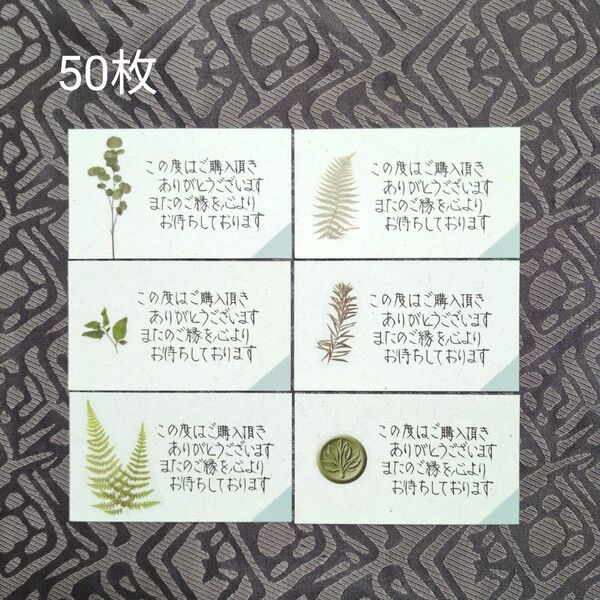 手書き サンキューカード メッセージ サンクス 植物 薄緑 50枚