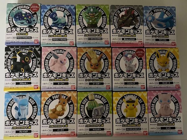 ポケモンキッズ 画像から2つ選んでください 箱のまま送ります