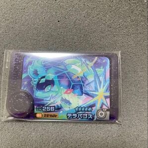 テラパゴス フレンダ