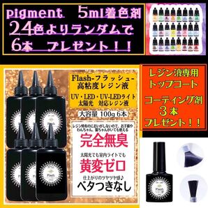 無臭&屋外直射日光でも黄変ゼロ ほどよい 高粘度無臭レジン液 100g×6本 フラッシュ