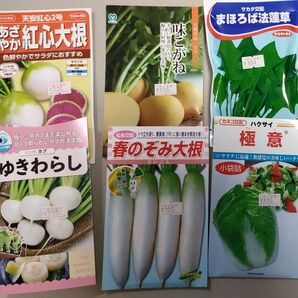 有効期限切れ 野菜の種 6点セット
