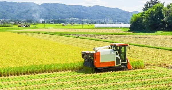 米 約2キロ 福島県産コシヒカリ