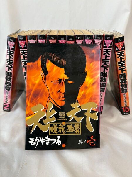 天上天下唯我独尊 1〜11.13.15巻 ヤンキーからボクサーへ もりやまつる 全巻ありません
