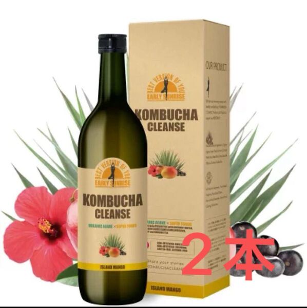 コンブチャクレンズ 300ml 2本