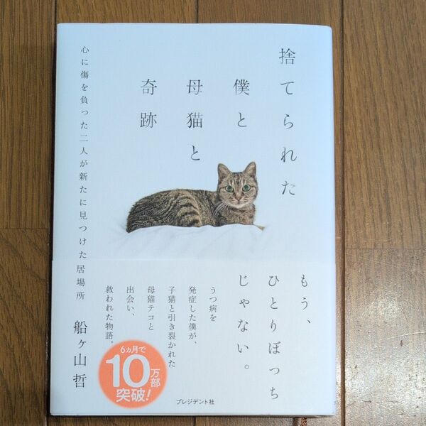 捨てられた僕と母猫と奇跡
