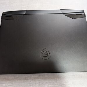 ぱー様用 MSI GP66 Leopard 10 UH