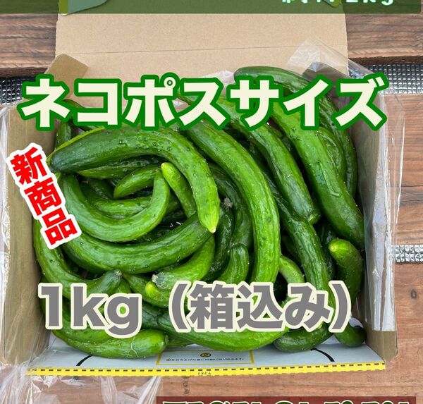 キュウリ スマイル品 1kg バージョン宮崎県産 食べれる美容液