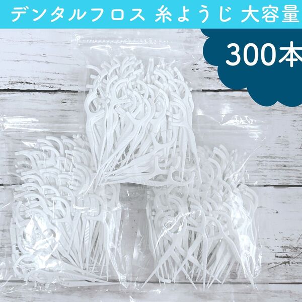 新品 デンタルフロス ピック 糸ようじ 100本 × 3袋 / 糸磨き 歯間 歯磨き