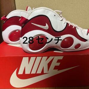 ナイキ AIR ZOOM FLIGHT ズームフライト 95 28センチ 美品