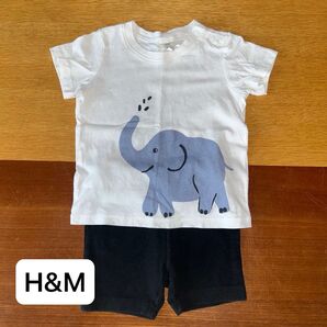H&M ゾウ柄Tシャツ&futafuta黒ハーフパンツセット 上下セット 70サイズ