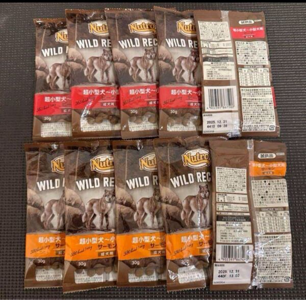 ニュートロ ワイルドレシピ ドッグフード ドライフード 成犬用 総合栄養食 ビーフ サーモン 魚
