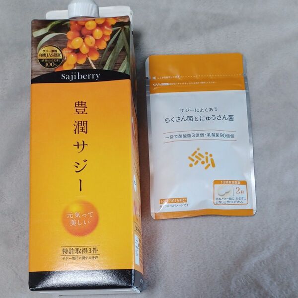 賞味期限近し!豊潤サジー 1000ml1本
