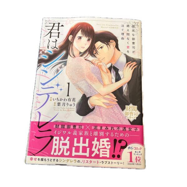 君はシンデレラ 孤高な御曹司が絶え間なく愛を注ぐ理由 1 (Berry’s COMICS い2-6 財閥御曹司シリーズ)