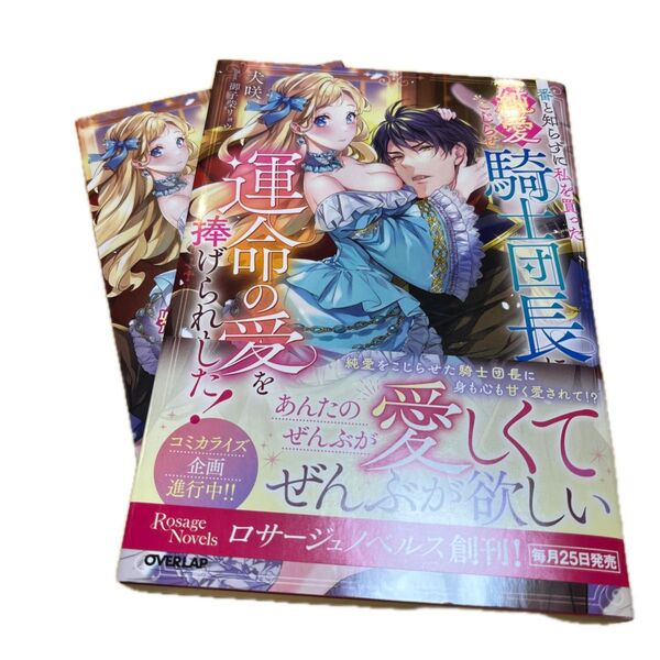 番と知らずに私を買った純愛こじらせ騎士団長に運命の愛を捧げられました! (Rosage Novels) 犬咲/著