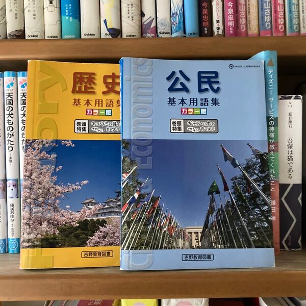 中学社会 公民 歴史 ビンテージ なつかしもの 懐かしいもの 教科書 用語集 資料集 学習 受験 受験対策 受験勉強