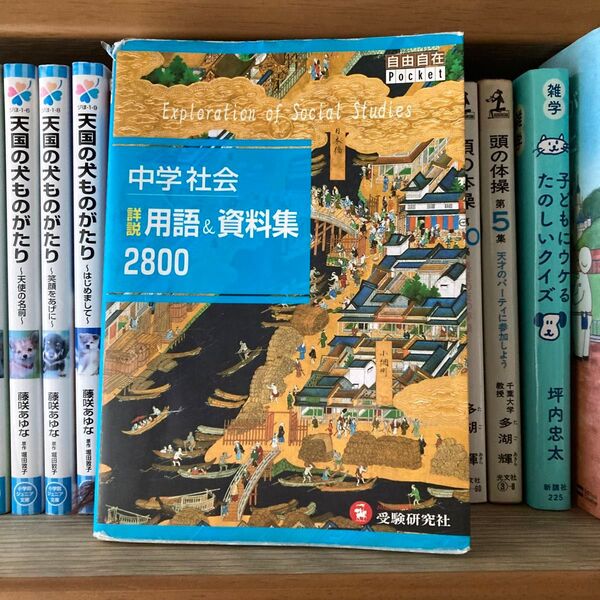 中学社会詳説用語&資料集2800 (自由自在Pocket) 中学教育研究会/編著