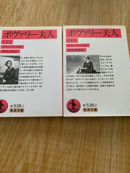 ボヴァリー夫人 上下巻セット 岩波文庫 フローベール