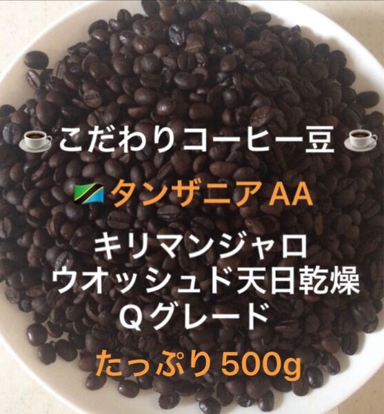 こだわりコーヒー豆 タンザニアAA キリマンジャロたっぷり500g 中深煎り 自家焙煎珈琲 Qグレード