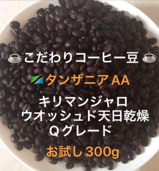 こだわりコーヒー豆 タンザニアAA キリマンジャロ300g 中深煎り 自家焙煎珈琲 Qグレード ニュークロップ