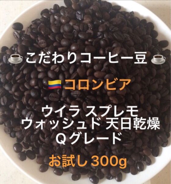 こだわりコーヒー豆 コロンビア ウイラスプレモ Qグレード お試し300g 中深煎り 自家焙煎珈琲 ウォッシュド ニュークロップ