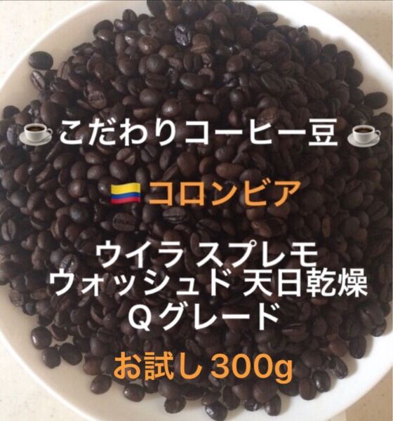 こだわりコーヒー豆 コロンビア ウイラスプレモ Qグレード お試し300g 中深煎り 自家焙煎珈琲 ウォッシュド ニュークロップ