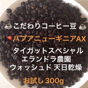 こだわりコーヒー豆 パプアニューギニアAX タイガットスペシャル 中深煎り お試し300g 自家焙煎 エランドラ農園 ウォッシュド
