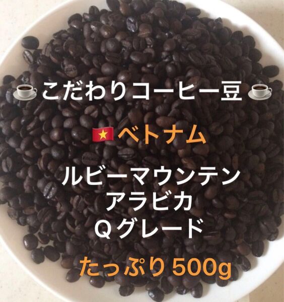 こだわりコーヒー豆 ベトナム ルビーマウンテン G-1 アラビカ 500g 中深煎り 自家焙煎珈琲 Qグレード