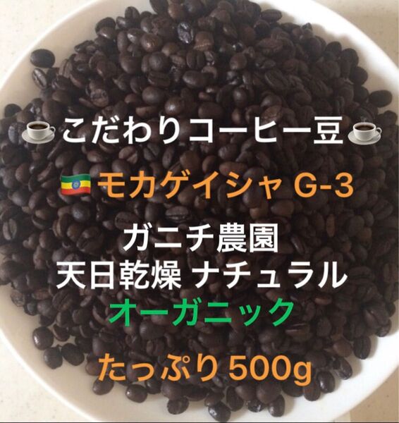 こだわりコーヒー豆 モカゲイシャ G-3 たっぷり500g 中深煎り 自家焙煎珈琲 オーガニック ナチュラル 天日乾燥