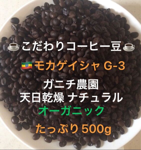 こだわりコーヒー豆 モカゲイシャ G-3 たっぷり500g 中深煎り 自家焙煎珈琲 オーガニック ナチュラル 天日乾燥