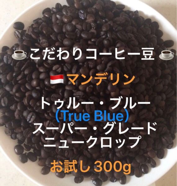 こだわりコーヒー豆 マンデリン トゥルー・ブルー 中深煎り たっぷり500g 自家焙煎 スーパー・グレード ニュークロップ