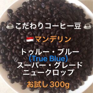 こだわりコーヒー豆 マンデリン トゥルー・ブルー 中深煎り お試し300g 自家焙煎 スーパー・グレード ニュークロップ
