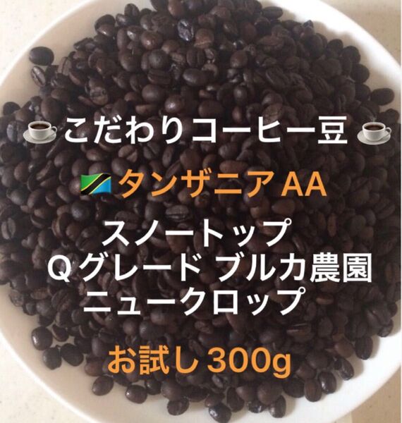 こだわりコーヒー豆 タンザニアAA スノートップ お試し300g 中深煎り 自家焙煎珈琲 ブルカ農園 Qグレード ニュークロップ