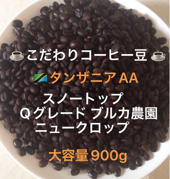 大容量900g こだわりコーヒー豆 タンザニアAA スノートップ 中深煎り 自家焙煎珈琲 ブルカ農園 Qグレード ニュークロップ
