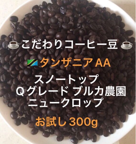 こだわりコーヒー豆 タンザニアAA スノートップ お試し300g 中深煎り 自家焙煎珈琲 ブルカ農園 Qグレード ニュークロップ