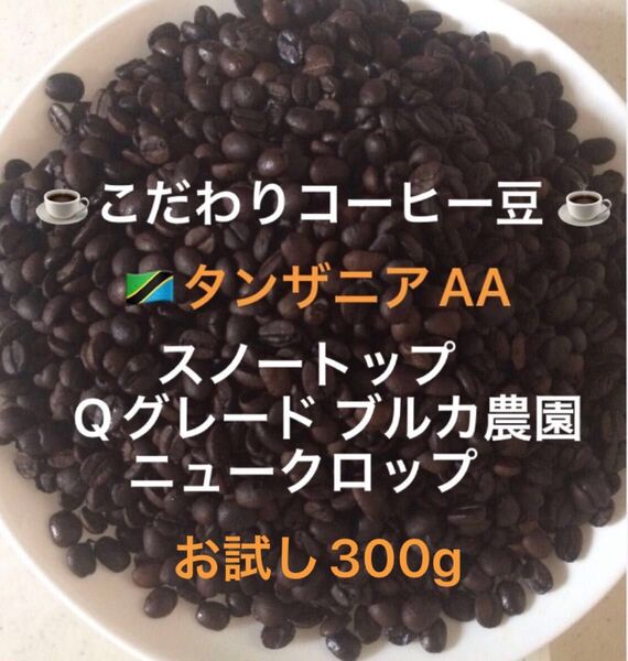 こだわりコーヒー豆 タンザニアAA スノートップ お試し300g 中深煎り 自家焙煎珈琲 ブルカ農園 Qグレード ニュークロップ