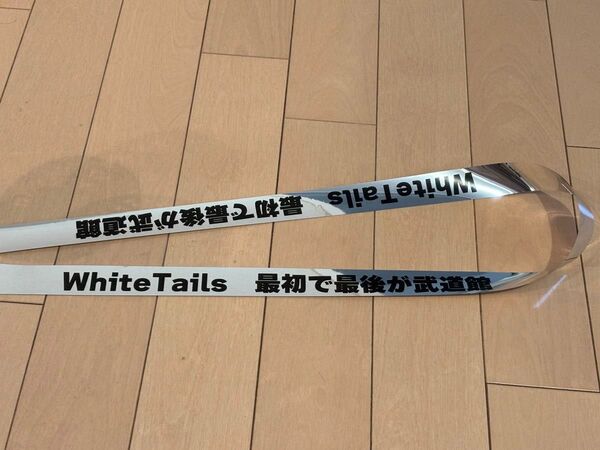 ワイテルズ 武道館 銀テープ