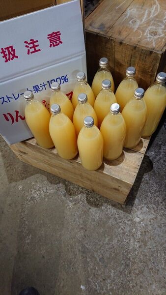 青森りんご サンふじ王林ジョナゴールドミックス りんごジュース 1L12本入り 送料込