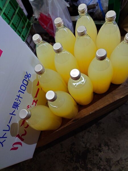 青森りんご サンふじ王林ジョナゴールドミックス りんごジュース 1L12本入り 送料込