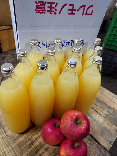 青森りんご サンふじ100% りんごジュース 1L12本入り 送料込 春絞り 濃いめ