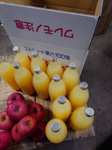 青森りんご サンふじ100% りんごジュース 1L12本入り 送料込 春絞り