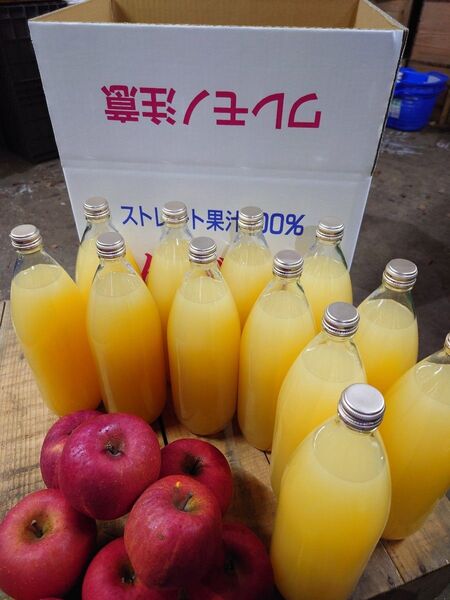 青森りんご サンふじ100% りんごジュース 1L12本入り 送料込 春絞り