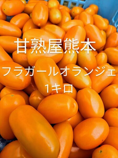 ミニトマト フラガールオランジェ 1kg