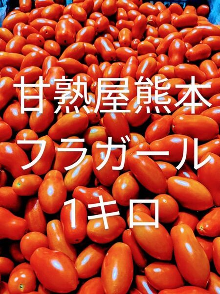 ミニトマト フラガール赤 1kg