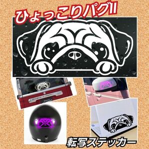 【Sサイズ:Aタイプ:白】ひょっこりパグ2 転写ステッカー