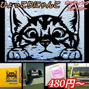 【Mサイズ】Aタイプ:ホワイト ひょっこりにゃんこ 転写ステッカーネコ 猫
