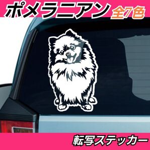 【Sサイズ:Aタイプ:白】ポメラニアン 転写式ステッカー DAIHATSU車