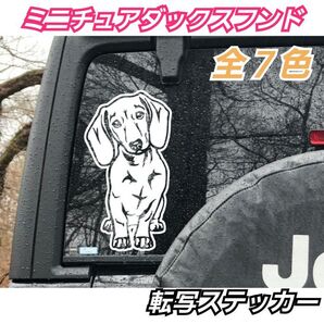 【Sサイズ:Aタイプ:白】ミニチュアダックス 転写式ステッカー MAZDA車