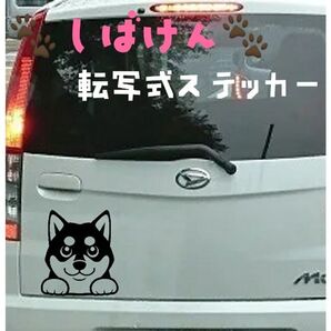 【Sサイズ ブラック1枚】柴犬 転写式ステッカー
