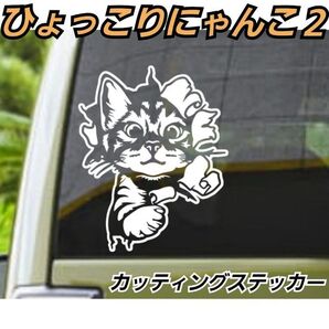 Sサイズ【Bタイプ:S白】ひょっこりニャンコ 2 カッティングステッカー ネコ