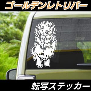 【Sサイズ:Aタイプ:白】ゴールデンレトリバー 転写式ステッカー SUZUKI車